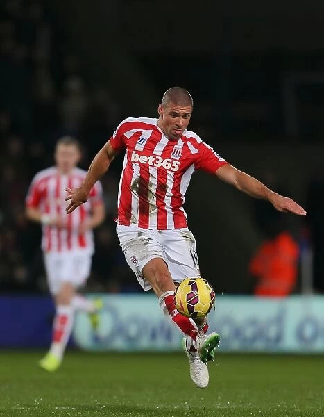 The Decisive Moment: Crystal Palace vs. Stoke City (13 December 2014)