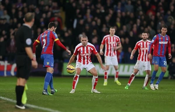 Decisive Moments: The Turning Point - Crystal Palace vs. Stoke City, 12 / 13 / 2014