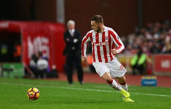 Shawcross and Crouch Lead Stoke City to 2-0 Victory Over Watford in Premier League (3rd January 2017)