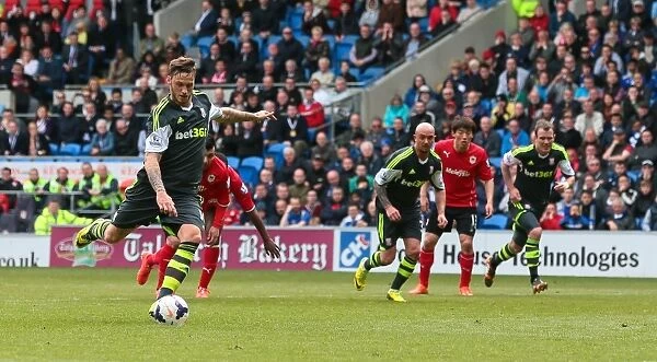 Stoke City vs. Cardiff City: The Championship Showdown - April 19, 2014