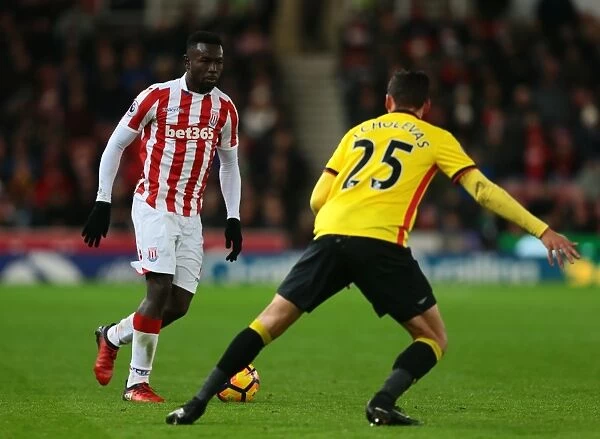 Stoke City's Shawcross and Crouch Secure 2-0 Premier League Victory Over Watford (3rd January 2017)