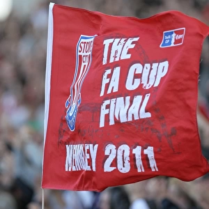 The Britannia Derby: Stoke City vs Arsenal (May 8, 2011)