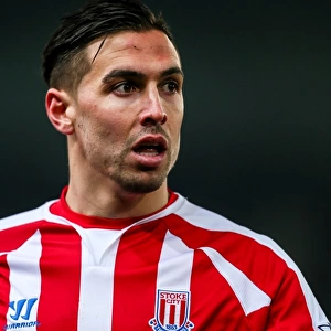 Clash at the Bet365 Stadium: Stoke City vs. West Bromwich Albion (December 28, 2014)