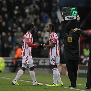 Stoke City vs Chelsea: Clash at the Britannia (January 12, 2013)