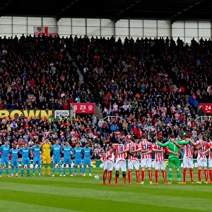 Season 2014-15 Jigsaw Puzzle Collection: Stoke City v Sunderland