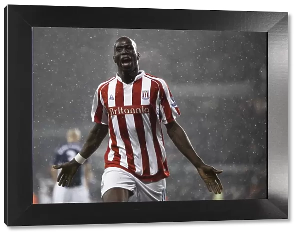 Stoke City's Thrilling 3-2 Victory Over Fulham in the Premier League (January 5, 2010)