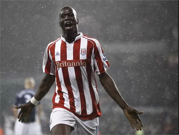 Stoke City's Thrilling 3-2 Victory Over Fulham in the Premier League (January 5, 2010)