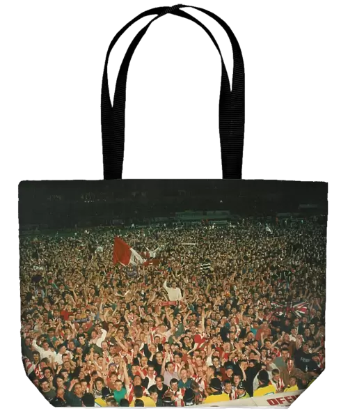 Fans celebrate on pitch after promotion secured 1993