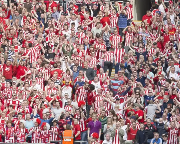 Stoke City's Glory: Unforgettable Victory Over Bolton Wanderers - April 17, 2011