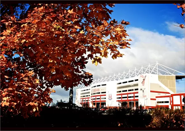 Clash of the Championship Titans: Stoke City vs Sunderland (October 27, 2012)