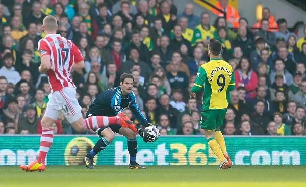 Championship Showdown: Norwich City vs Stoke City (March 8, 2014)