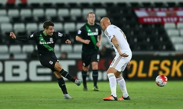 Clash of the Championship Contenders: Swansea City vs Stoke City (October 19, 2015)