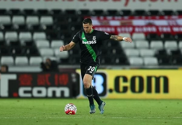 Clash of the Championship Contenders: Swansea City vs Stoke City (19th October 2015)