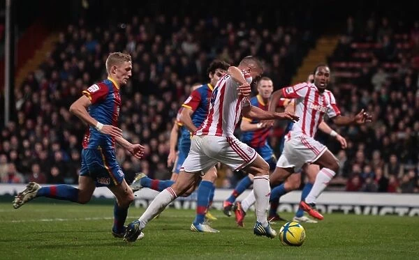 Clash at Selhurst Park: Crystal Palace vs. Stoke City (5th January 2013)