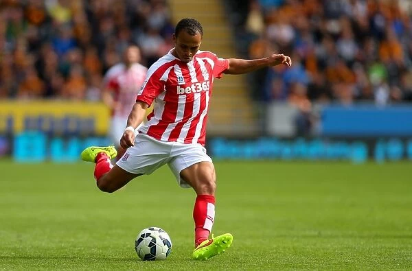 Clash of the Tigers and Potters: Hull City vs Stoke City (August 24, 2014)
