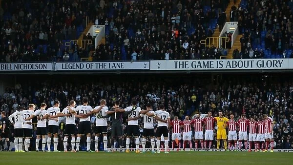 Clash of the Titans: Premier League Battle - Tottenham Hotspur vs Stoke City (November 9, 2014)