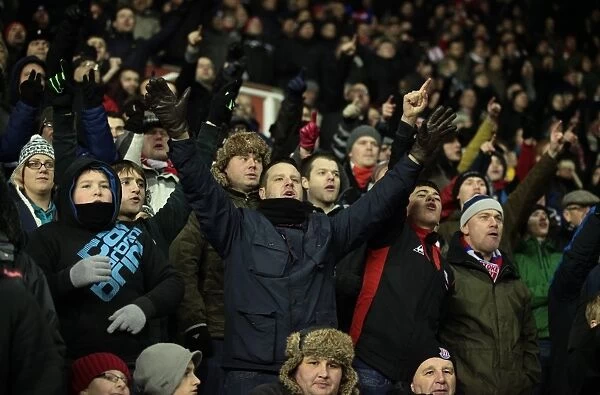 Clash of the Titans: Stoke City vs Newcastle United (November 28, 2012)