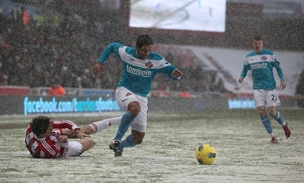 Intense Rivalry: Stoke City vs Sunderland, February 4, 2012 - Bet365 Stadium