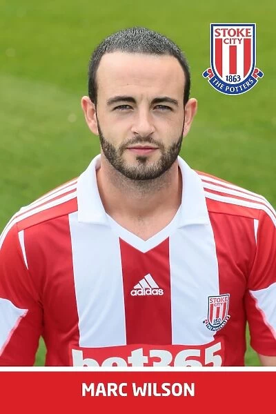 Marc Wilson: Stoke City FC Player Headshot (2013-14)