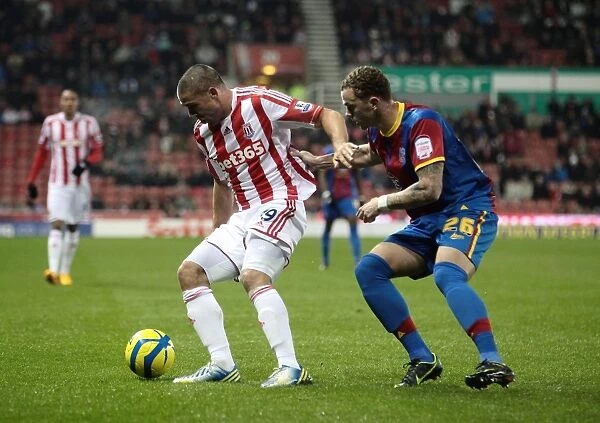 Showdown at Bet365 Stadium: Stoke City vs Crystal Palace (15.01.2013)