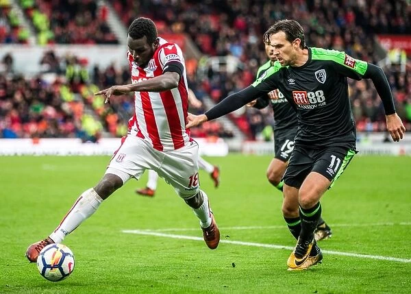 Stoke City vs Bournemouth: Barclays Premier League Clash in Stoke-on-Trent, England
