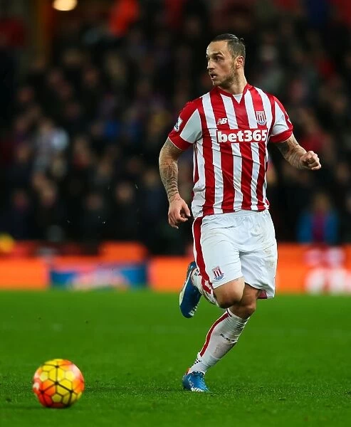 Stoke City vs Crystal Palace Clash: A December Showdown at the Bet365 Stadium (19th, 2015)