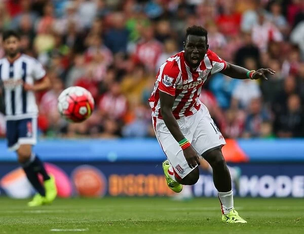 Stoke City vs. West Bromwich Albion: Clash at the Bet365 Stadium (August 29, 2015)