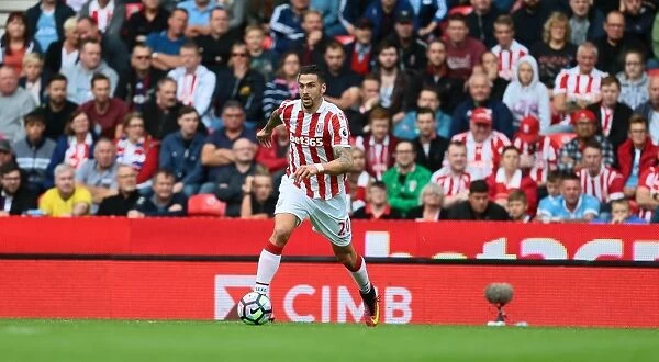 Stoke City vs. West Bromwich Albion: Clash at the Bet365 Stadium - September 24, 2016