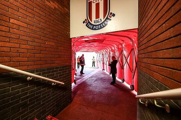 Stoke City vs. West Bromwich Albion: Battle at the Bet365 Stadium - October 19, 2013