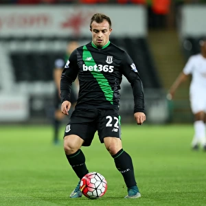 Clash of the Championship Contenders: Swansea City vs Stoke City (19th October 2015)