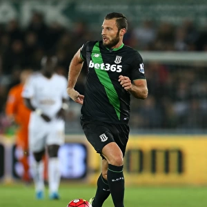 Clash of the Championship Contenders: Swansea City vs Stoke City (October 19, 2015)