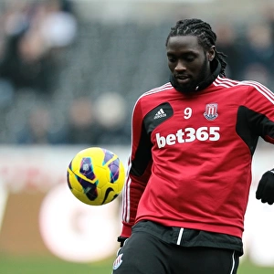 Clash of the Championship Contenders: Swansea City vs Stoke City (19th January 2013)