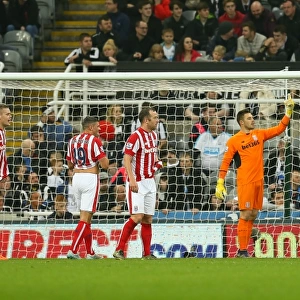 Clash of the Magpies and Potters: Newcastle United vs Stoke City (31st October 2015)