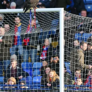 Season 2013-14 Photographic Print Collection: Crystal Palace v Stoke City