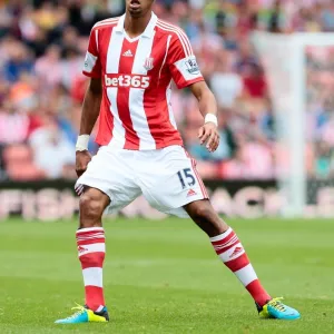 Clash of Titans: Stoke City vs Genoa (10/08/13)