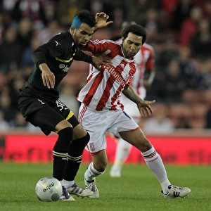 Clash of Titans: Stoke City vs. Tottenham Hotspur (September 20, 2011)