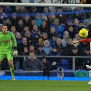 The Decisive Moment: Everton vs. Stoke City Rivalry Unfolds (December 4, 2011)