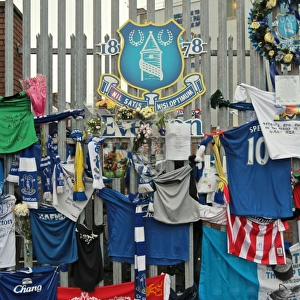 Season 2011-12 Collection: Everton v Stoke City