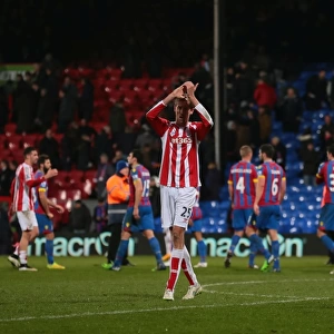 Decisive Palace Secures Victory Over Stoke City: 13th December 2014
