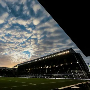 Season 2013-14 Collection: Everton v Stoke City