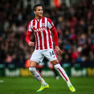 Players Collection: Ibrahim Afellay