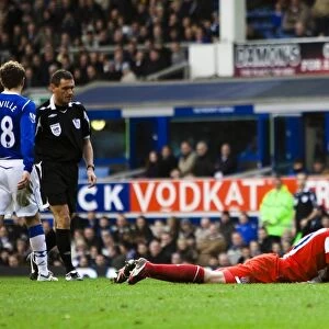 Premier League Showdown: Everton vs Stoke City - A Thrilling March 14, 2009, Soccer Match