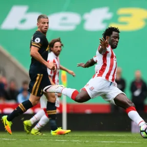 Players Framed Print Collection: Wilfried Bony