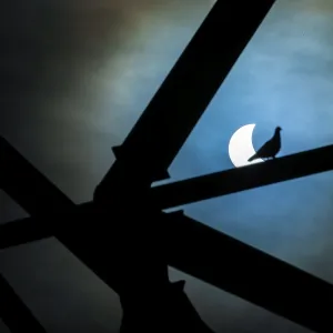 Images Dated 2015 March: 20 Mar 2015