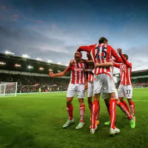 Season 2014-15 Framed Print Collection: Stoke City v Arsenal