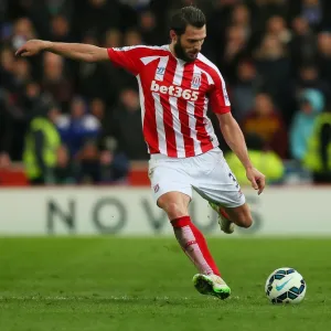 Stoke City vs Everton Clash: March 4, 2015 - Bet365 Stadium