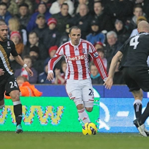 Stoke City vs Fulham: A Battle at the Bet365 Stadium - November 24, 2012