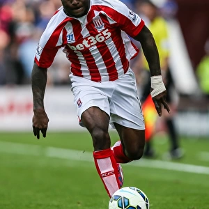 Stoke City vs Leicester City Clash at the Bet365 Stadium (September 13, 2014)