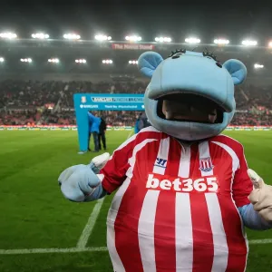 Stoke City vs Newcastle United Clash: Monday Night Football at the Bet365 Stadium (September 29, 2014)