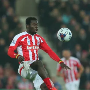 Season 2014-15 Framed Print Collection: Stoke City v Southampton